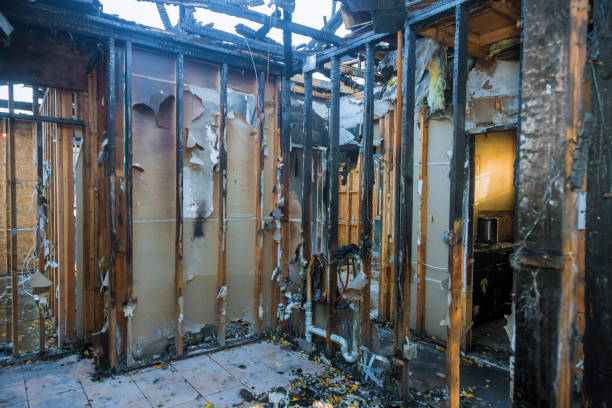 Professional Odor Removal technician working in La Marque, TX